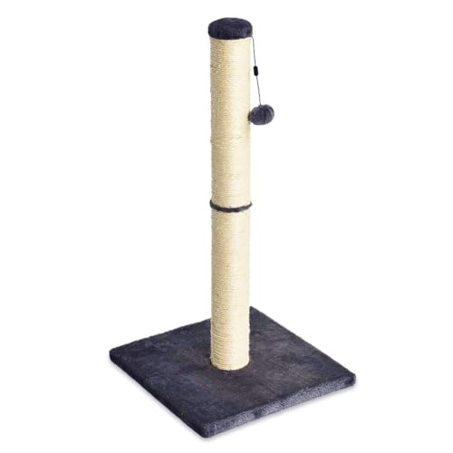 Amazon Basics Cat Scratcher - Indoor Classic Single Cat & Kittens Scratching Post, Medium (31.5'H) - Grey