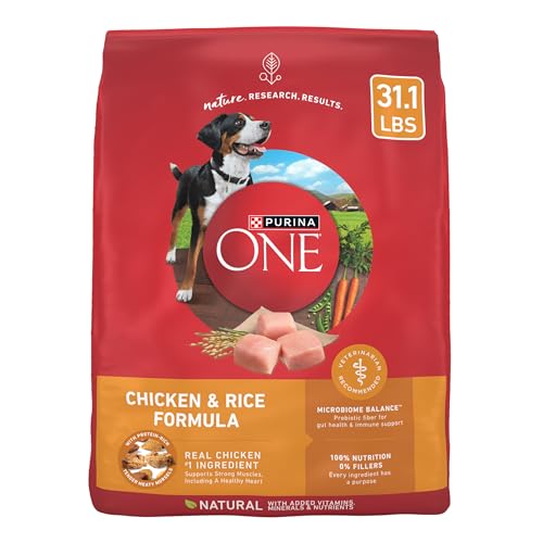 Purina ONE Chicken and Rice Formula Dry Dog Food - 31.1 lb. Bag