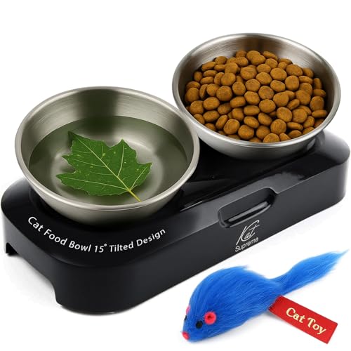 Cat Food Bowl by KATSUPREME - Cat Bowls for Indoor Cats, Set of 2 Stainless Steel Bowl, Tilted Bowls Elevated Anti Vomiting, Non-Slip Base, Ant Proof Food & Water.