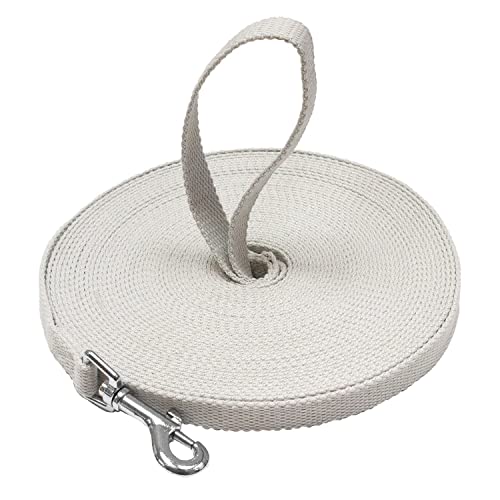 Downtown Pet Supply - Long Dog Leash - 30 ft Light Grey Nylon Dog Training Leash for Recall & Obedience
