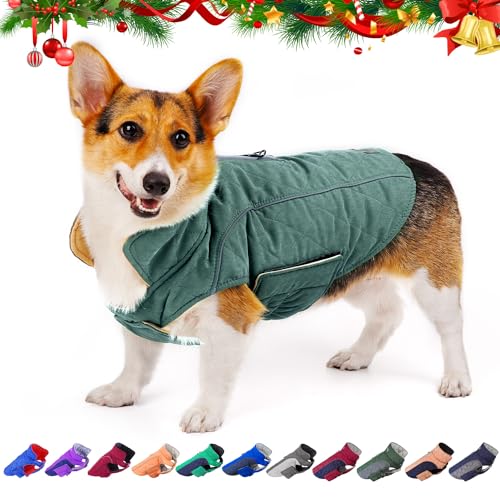 ThinkPet Dog Cold Weather Coats - Cozy Waterproof Windproof Reversible Winter Dog Jacket, Thick Padded Warm Coat Reflective Vest Clothes for Puppy Small Medium Large Dogs Dark Blue Dark Grey M