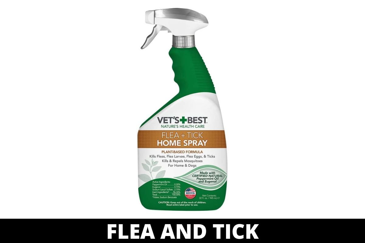 Flea and Tick