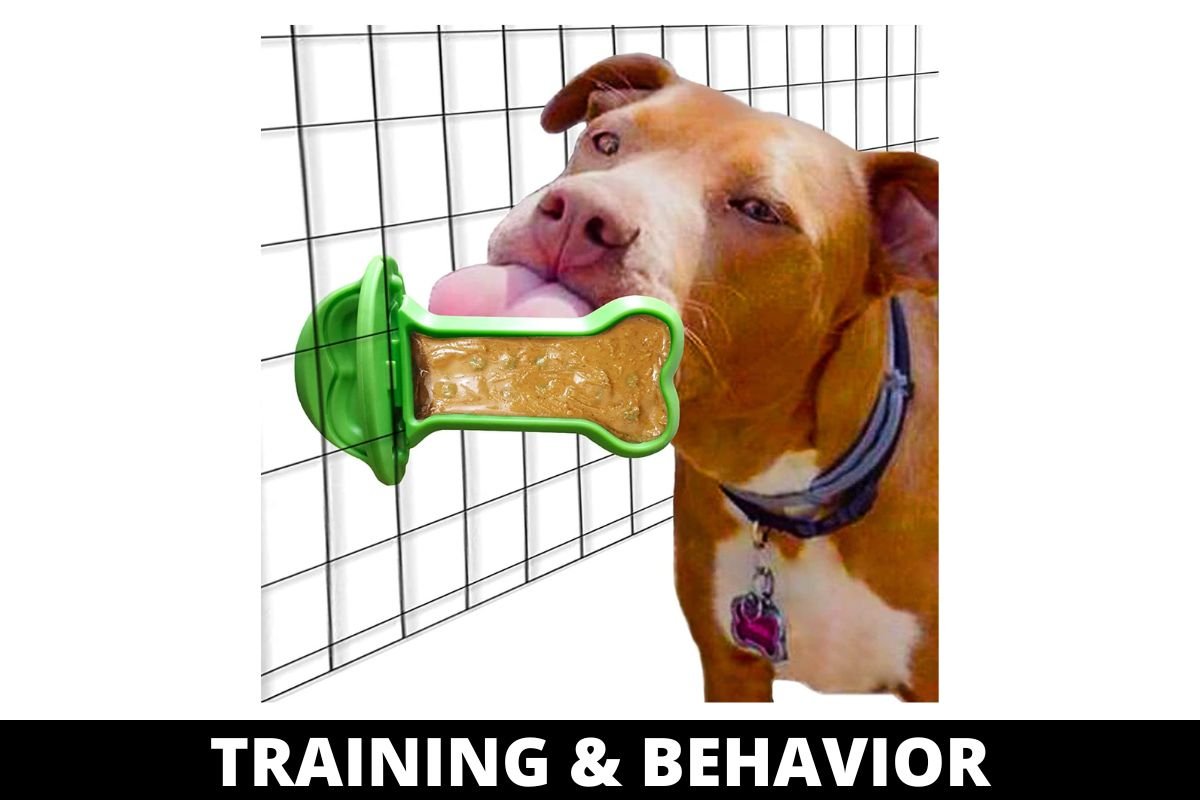 TRAINING & BEHAVIOR