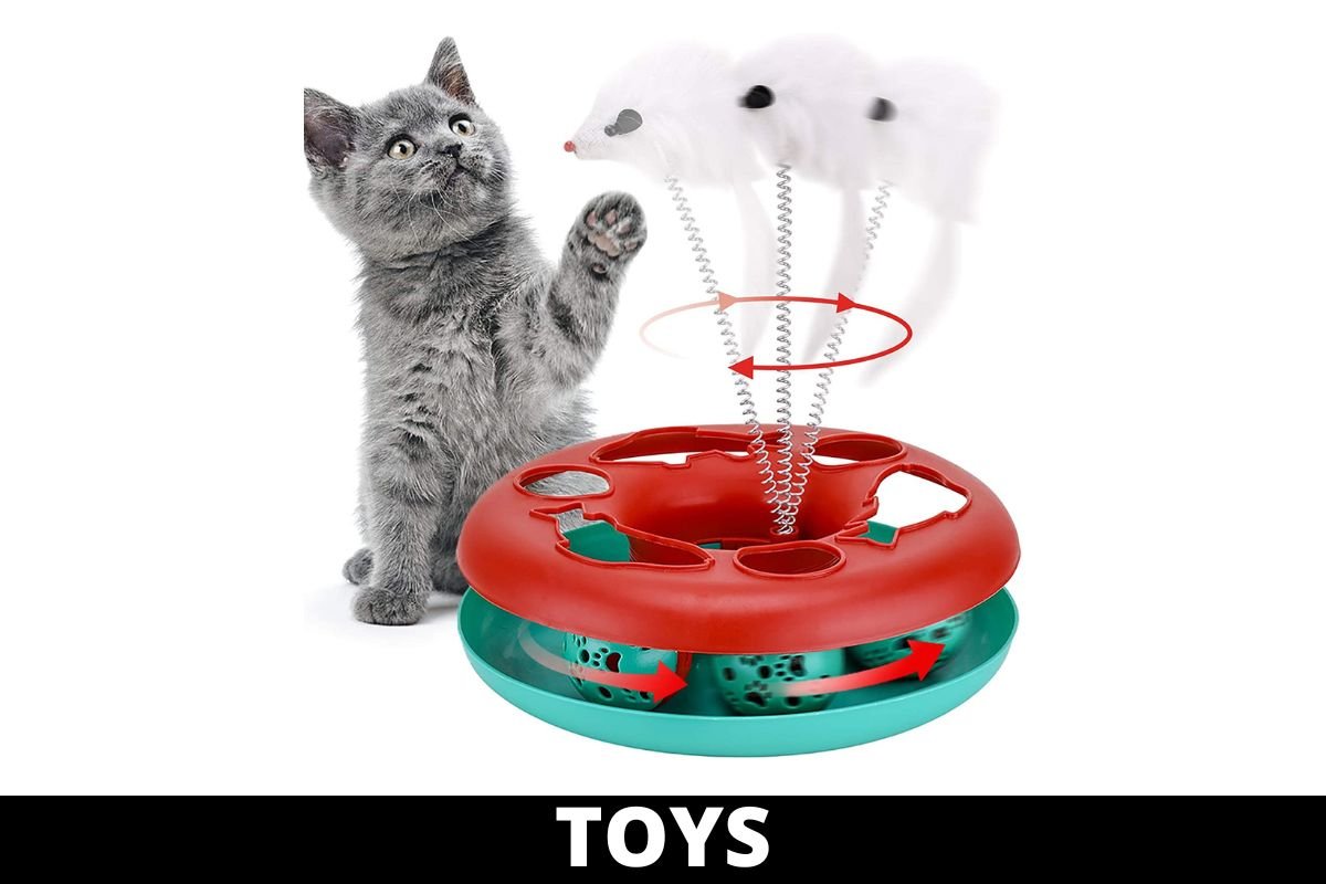 CAT TOYS