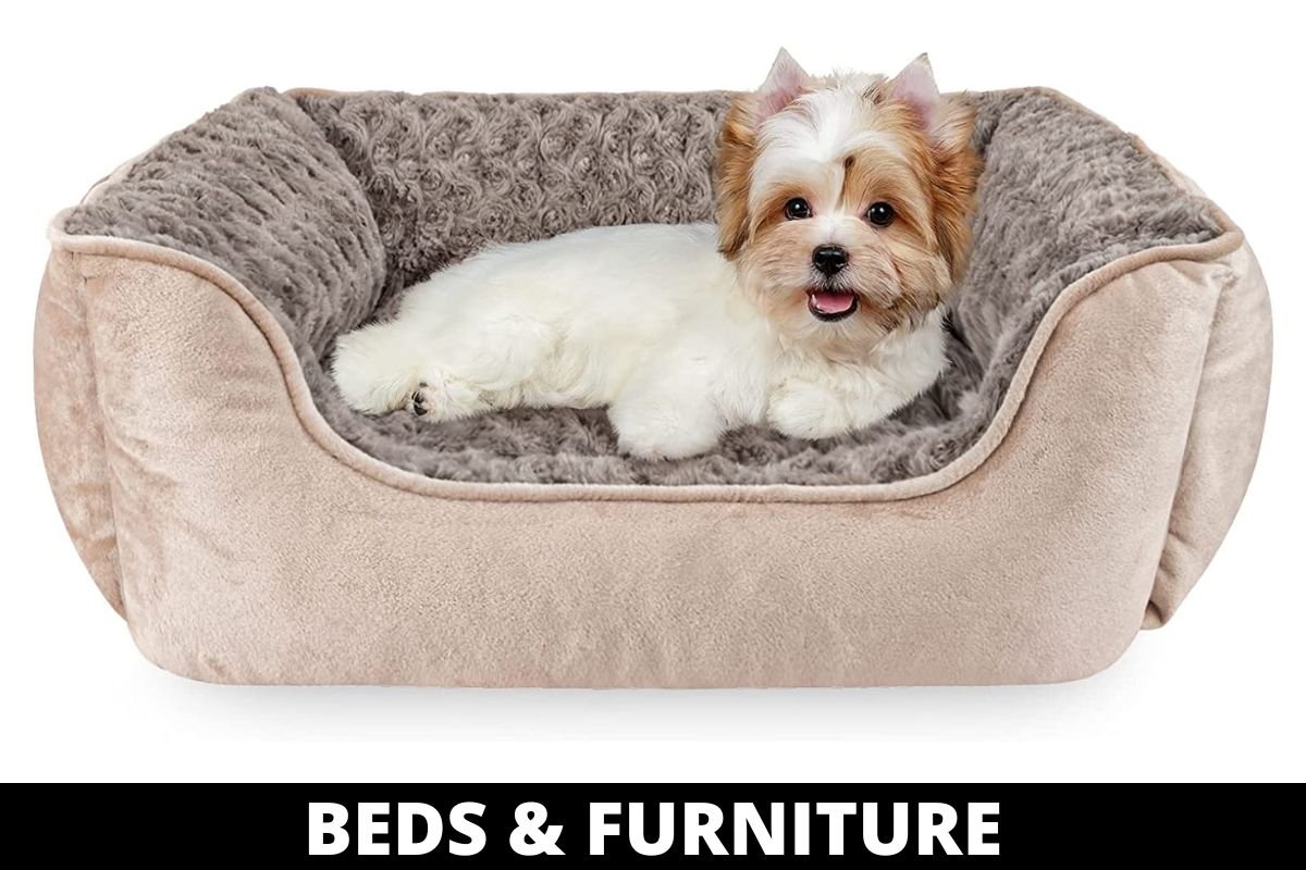 DOG BEDS