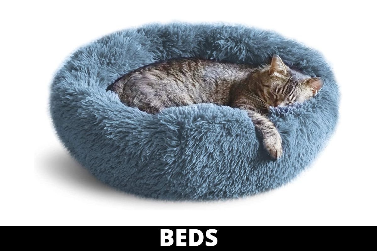 CAT BED