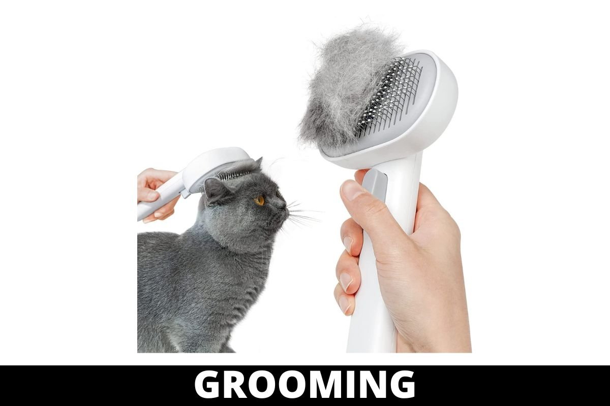 GROOMING