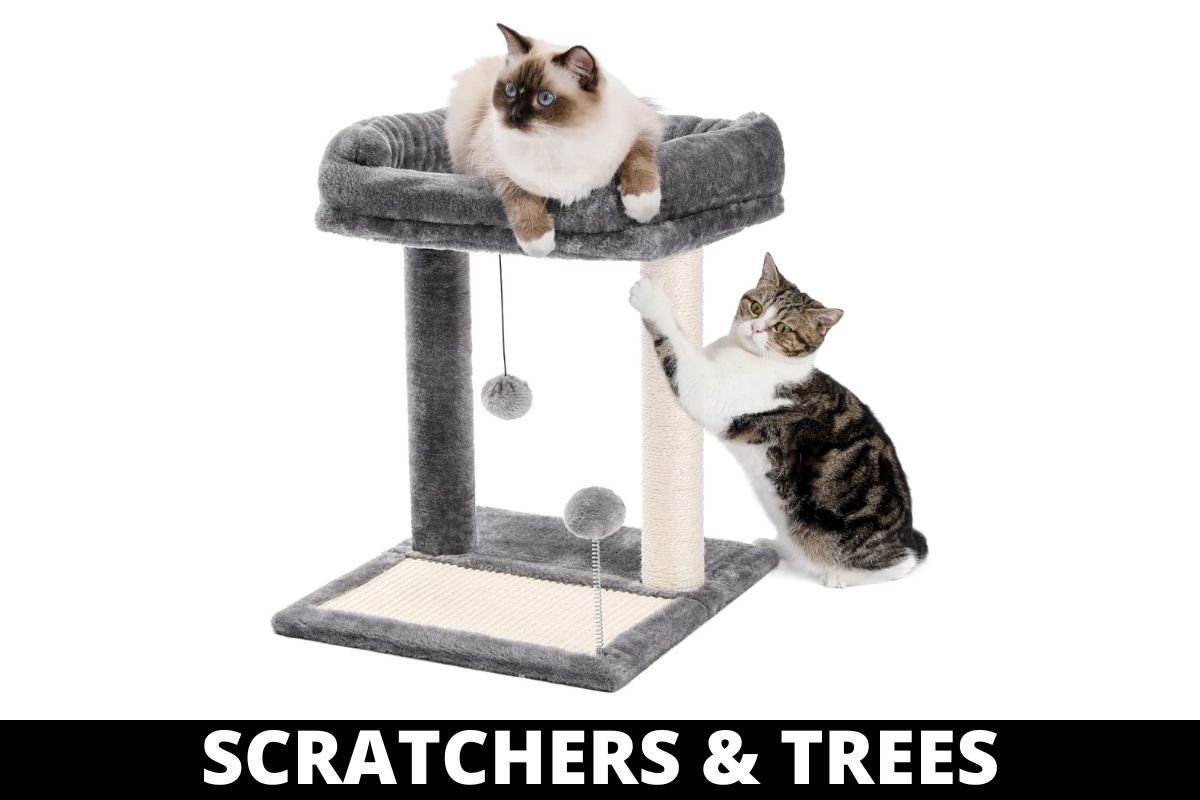 SCRATCHERS & TREES