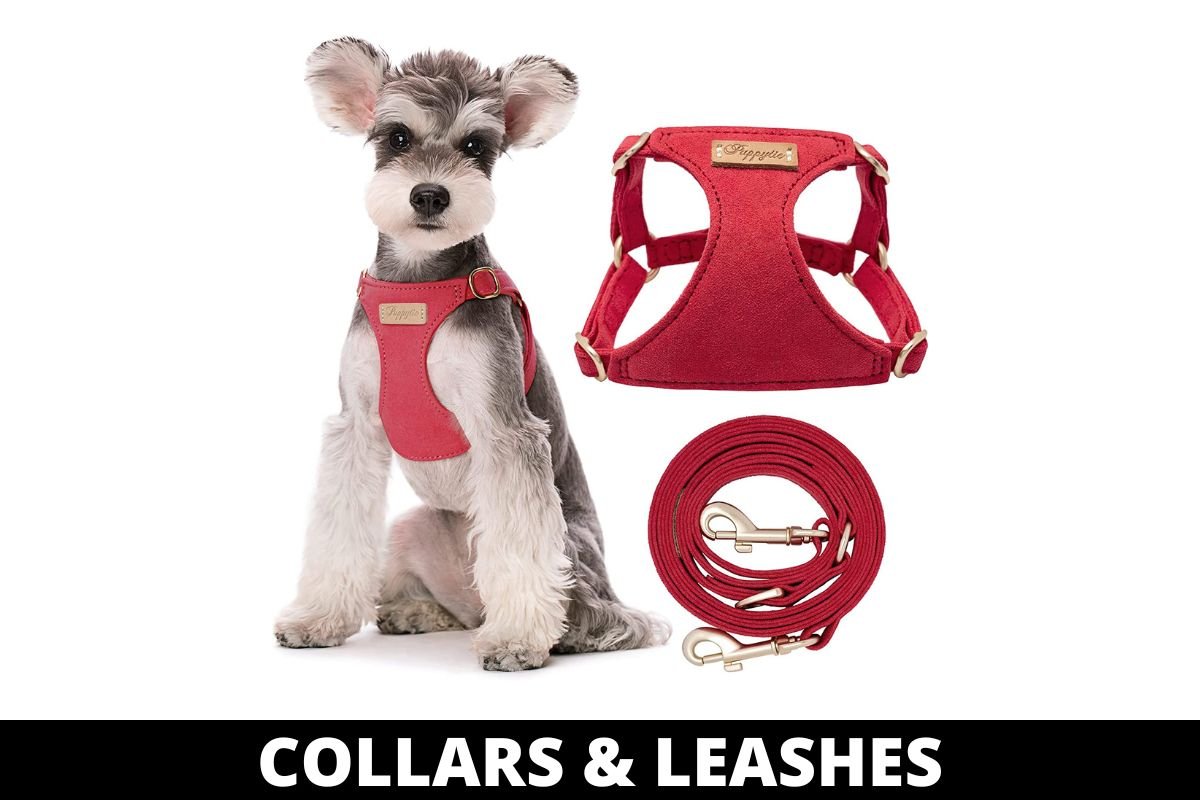 COLLARS & LEASHES